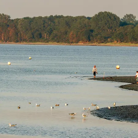 Prázdninový dům Schatzkiste 9 - Dorf 4